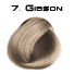 7.gibson