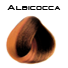 albicocca